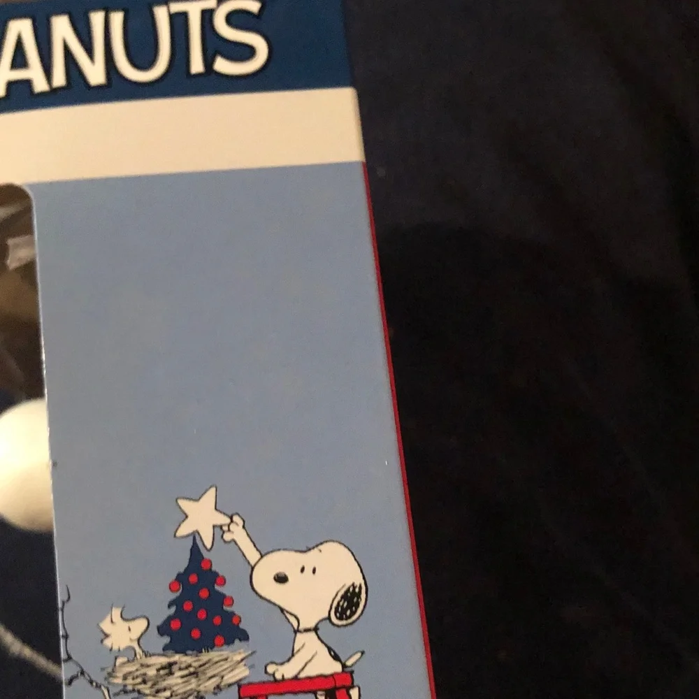 Peanuts Light Blue Box with Cream Accent
